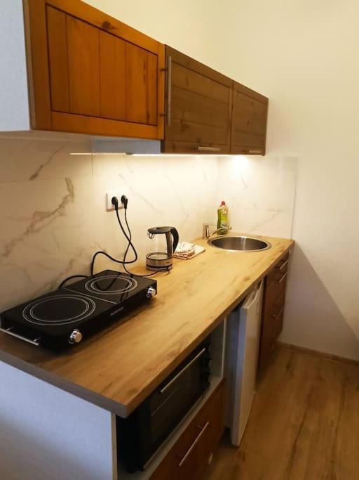 Apartman Kostomlaty Pod Milesovkou *
